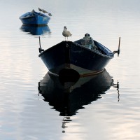 /album/mer/frida-dumont-img-8386-jpg1/